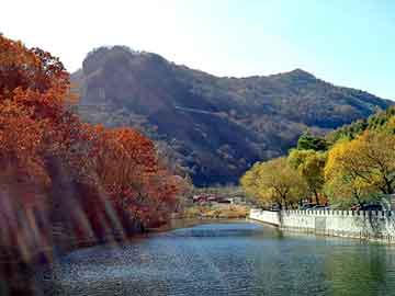 新澳门期期准精准，河北省图书馆首页